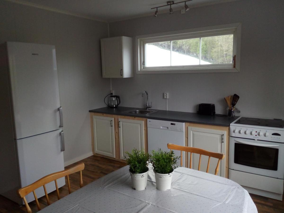 הוילה Isfjorden Mountain View House מראה חיצוני תמונה