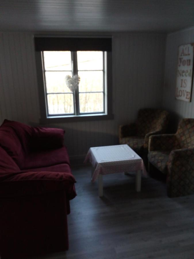 הוילה Isfjorden Mountain View House מראה חיצוני תמונה